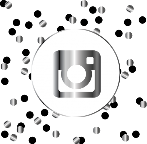 instagram silver icon