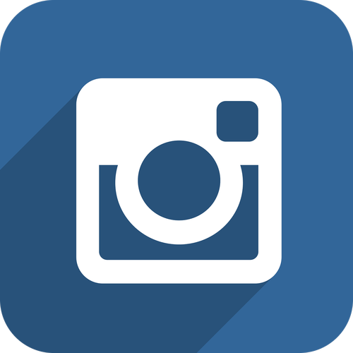 instagram  icon  button