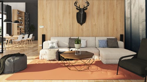 interior  furniture  sofa