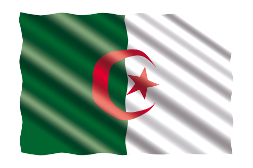 international flag algeria