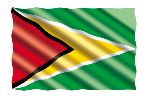 international flag guyana