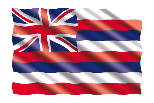 international flag hawaii