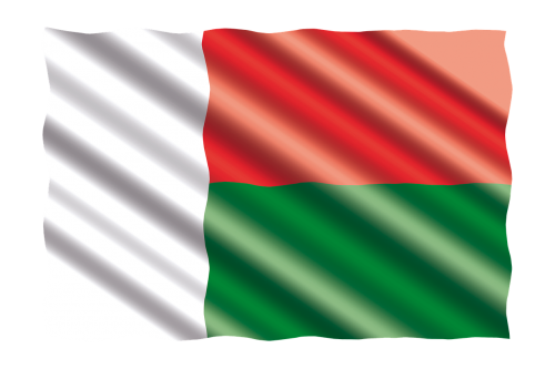 international flag madagascar