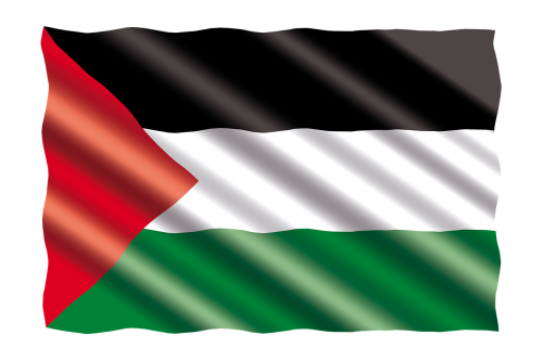 international flag palestine