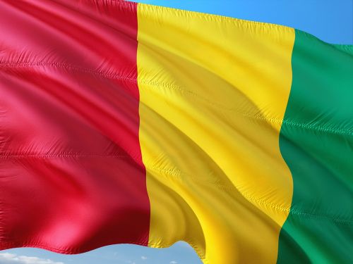 international flag guinea