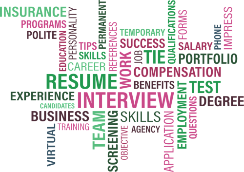 interview job search