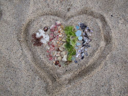 introduction sand beach love