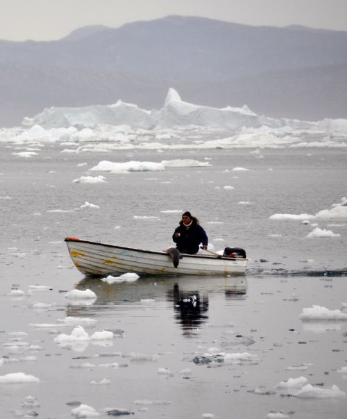 inuit robben hunter icefjord