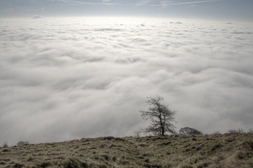 inversion  fog  silhouette