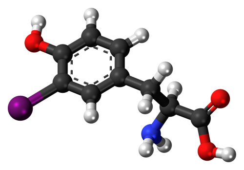 iodotyrosine molecule chemistry