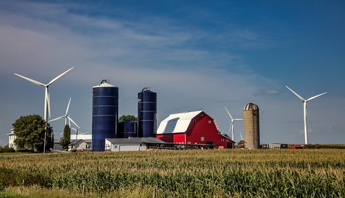 iowa  america  farm