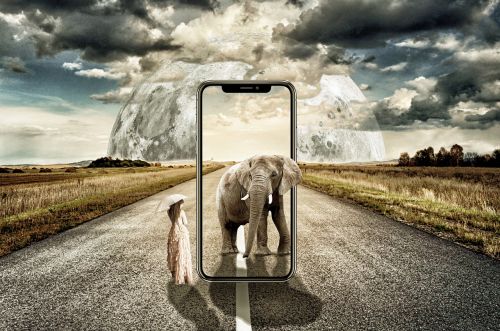 iphone x surreal elephant