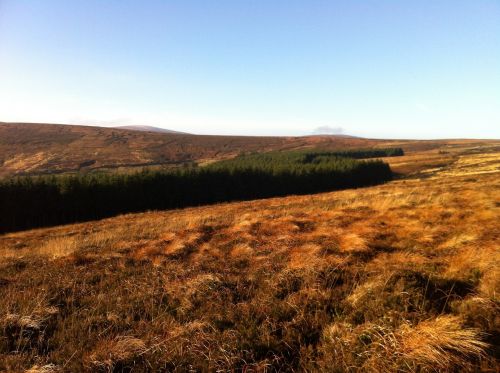 ireland country landscape