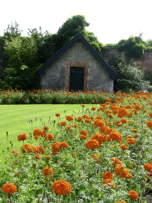 ireland castle garden