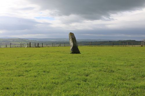 ireland stone meadow