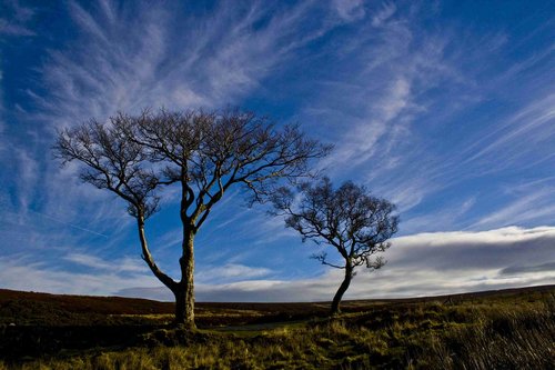 ireland  countryside  eire