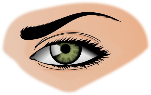 iris eye eyebrows