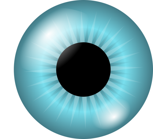 iris eye eyeball
