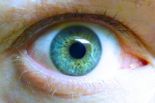 iris eye blue eye