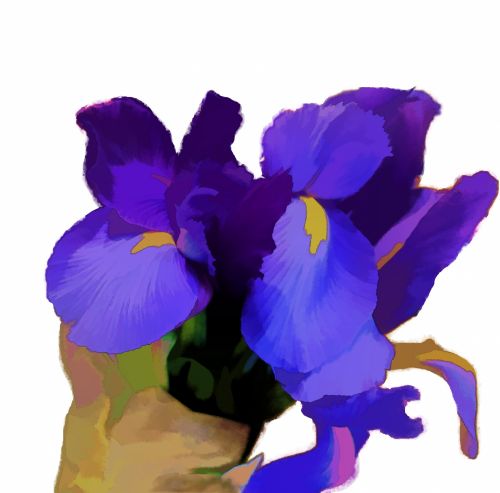 Iris Flower Painted Background
