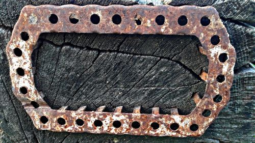 iron tree rust
