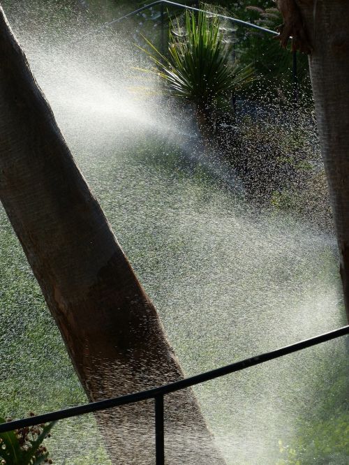 irrigation sprinkler sprinkler system