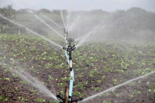 irrigation agriculture sprinkling
