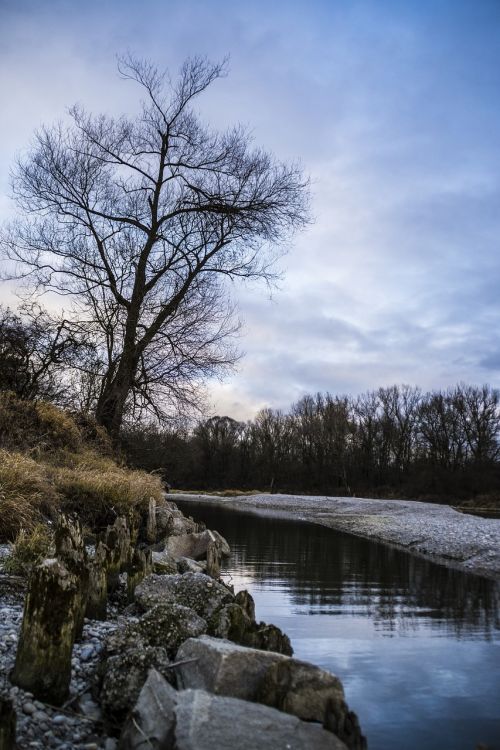 isar tree sky