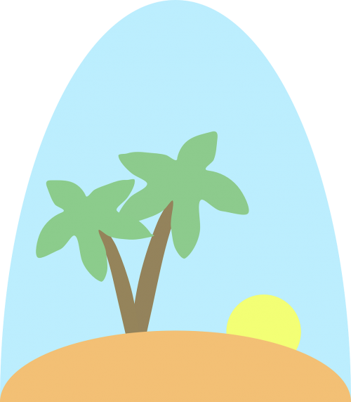 island palm trees summer