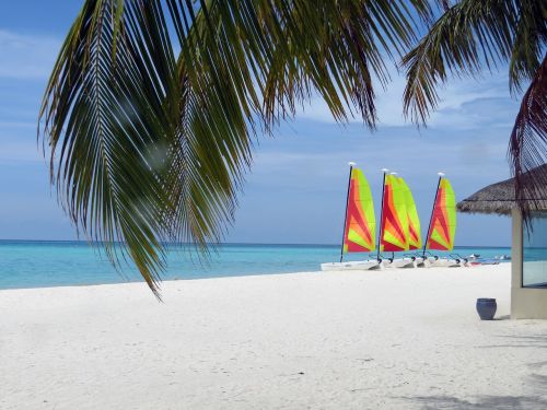 island summer beach