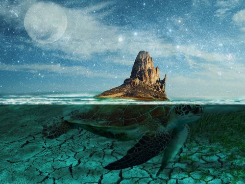 island digital art turtle