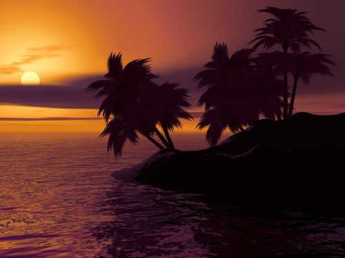 island palm sunset