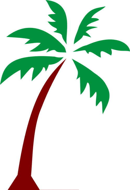 island palm fronds