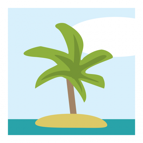 island tropical palm tree