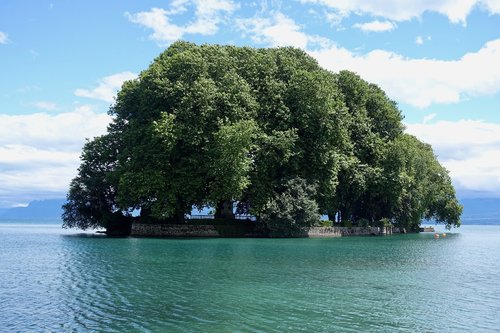 island  tree  water