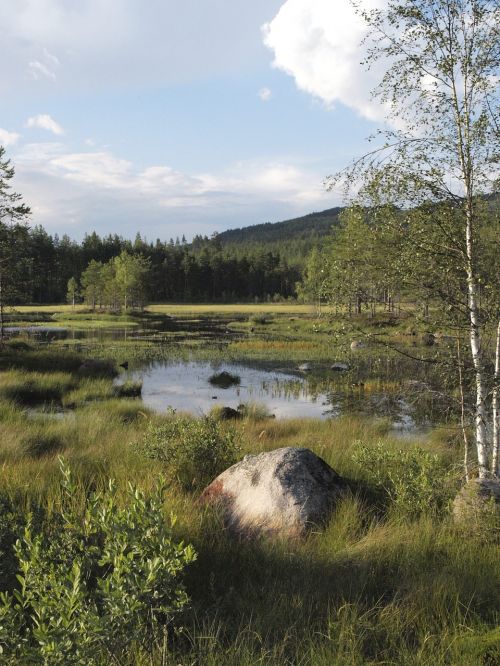 island sweden lake