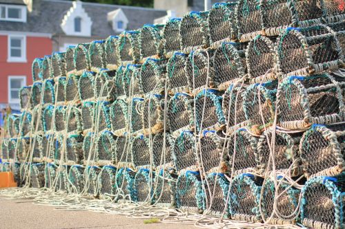 island fishing harbor