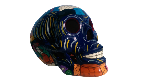 isolated skull colorful