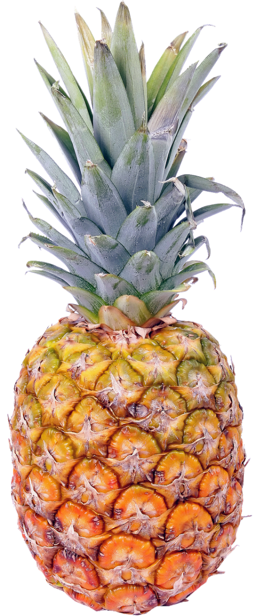 isolated pineapple fruit