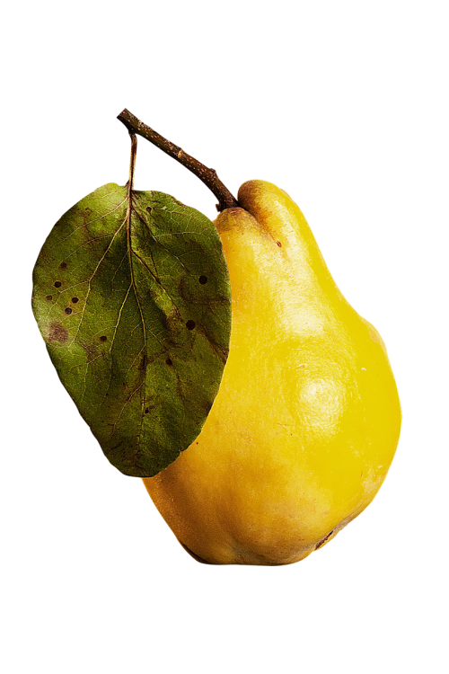 isolated isolated fruit fruit