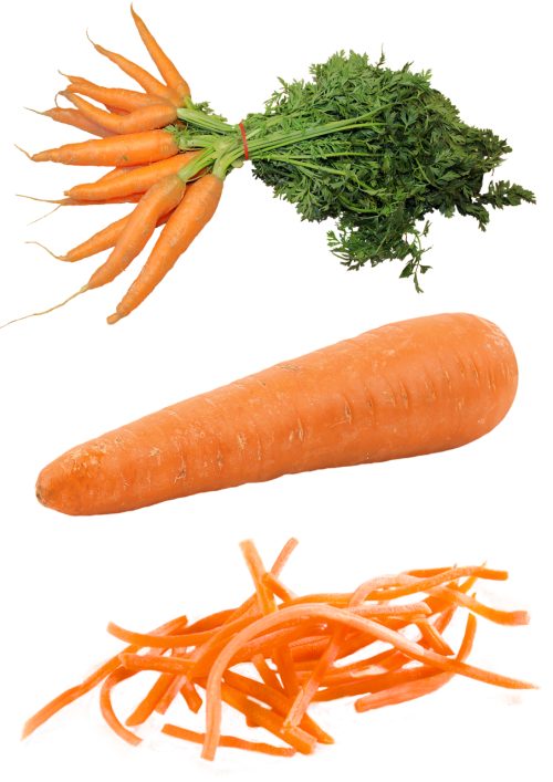 isolated carrot food