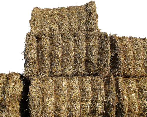 isolated straw bales dried grass