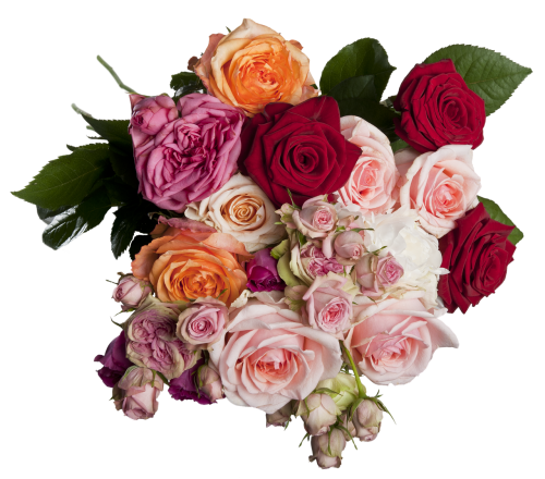 isolated roses bouquet