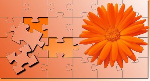 isolated form puzzle flower
