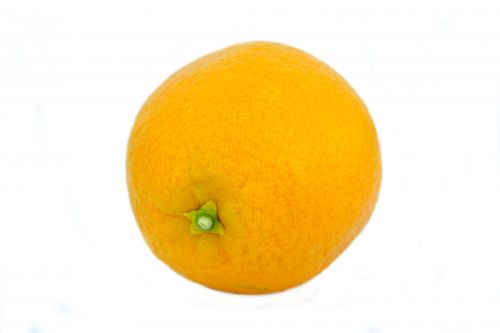 Isolated Orange