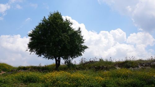 israel field clouds