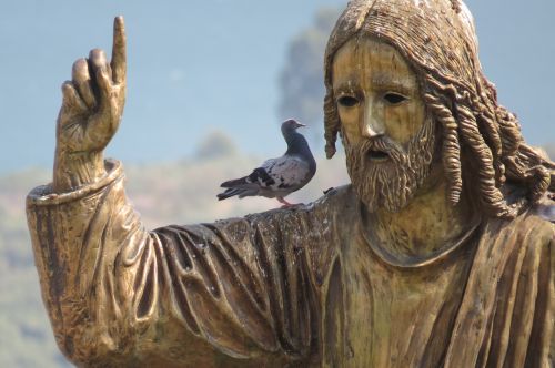 israel jesus bird