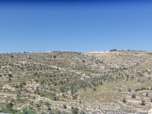 israel hillside landscape
