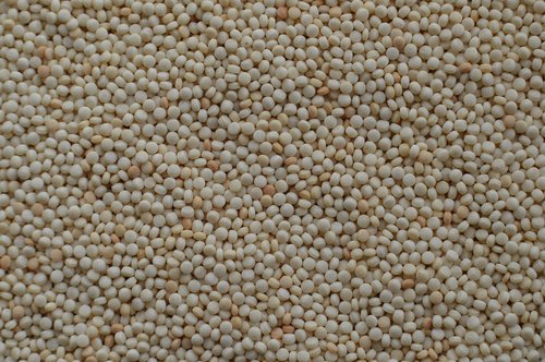 israeli couscous  pearled couscous  couscous texture