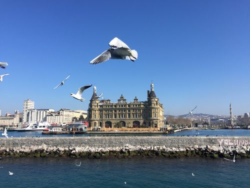 istanbul station seagull